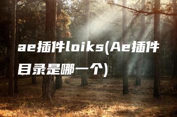 ae插件loiks(Ae插件目录是哪一个) | ae插件合集