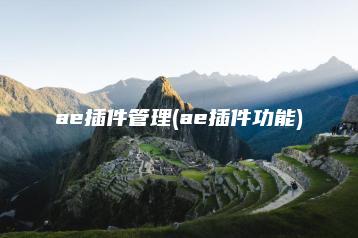 ae插件管理(ae插件功能) | ae插件合集