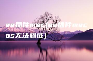 ae插件mac(ae插件macos无法验证) | ae插件合集