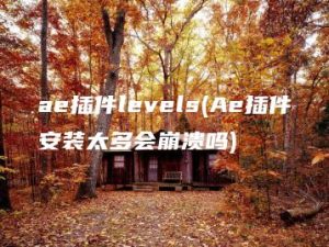 ae插件levels(Ae插件安装太多会崩溃吗) | ae插件合集