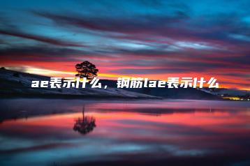 ae表示什么，钢筋lae表示什么 | ae插件合集