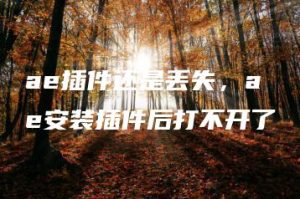 ae插件还是丢失，ae安装插件后打不开了 | ae插件合集