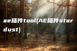 ae插件tool(AE插件stardust) | ae插件合集