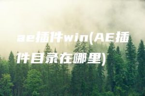 ae插件win(AE插件目录在哪里) | ae插件合集