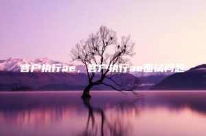 客户执行ae，客户执行ae面试问题 | ae插件合集