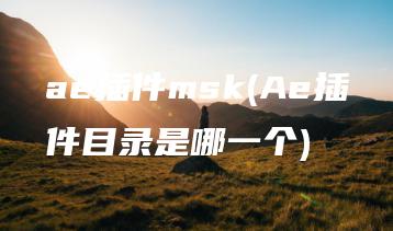 ae插件msk(Ae插件目录是哪一个) | ae插件合集