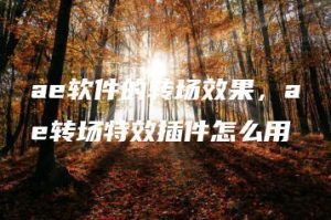 ae软件的转场效果，ae转场特效插件怎么用 | ae插件合集