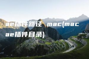 ae插件路径 mac(mac ae插件目录) | ae插件合集