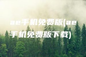 ae手机免费版(ae手机免费版下载) | ae插件合集