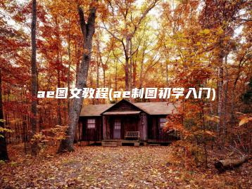 ae图文教程(ae制图初学入门) | ae插件合集