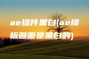 ae插件黑白(ae模板画面是黑白的) | ae插件合集