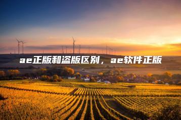 ae正版和盗版区别，ae软件正版 | ae插件合集