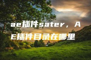 ae插件sater，AE插件目录在哪里 | ae插件合集