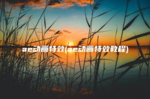 ae动画特效(ae动画特效教程) | ae插件合集