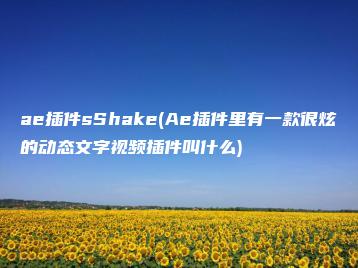 ae插件sShake(Ae插件里有一款很炫的动态文字视频插件叫什么) | ae插件合集