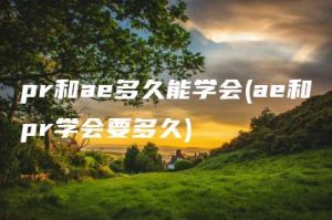 pr和ae多久能学会(ae和pr学会要多久) | ae插件合集