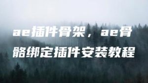 ae插件骨架，ae骨骼绑定插件安装教程 | ae插件合集