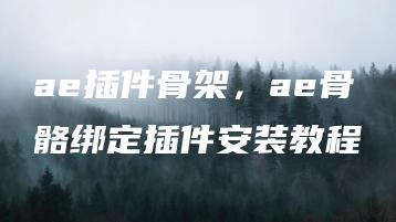 ae插件骨架，ae骨骼绑定插件安装教程 | ae插件合集