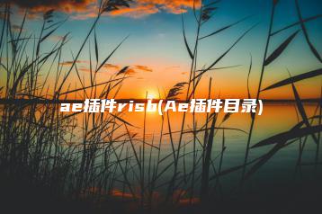 ae插件risb(Ae插件目录) | ae插件合集