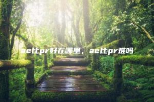 ae比pr好在哪里，ae比pr难吗 | ae插件合集