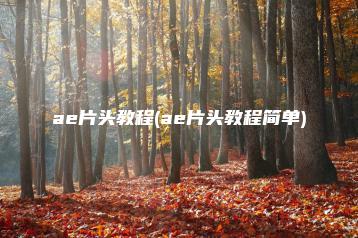 ae片头教程(ae片头教程简单) | ae插件合集