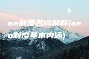 ae制度名词解释(aeo制度基本内涵) | ae插件合集