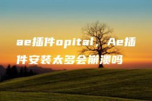 ae插件opital，Ae插件安装太多会崩溃吗 | ae插件合集