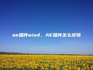 ae插件wind，AE插件怎么安装 | ae插件合集