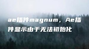 ae插件magnum，Ae插件显示由于无法初始化 | ae插件合集