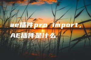 ae插件pro import，AE插件是什么 | ae插件合集