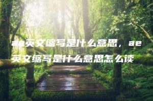 ae英文缩写是什么意思，ae英文缩写是什么意思怎么读 | ae插件合集