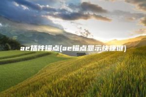 ae插件锚点(ae锚点显示快捷键) | ae插件合集