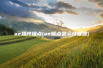 ae插件锚点(ae锚点显示快捷键) | ae插件合集