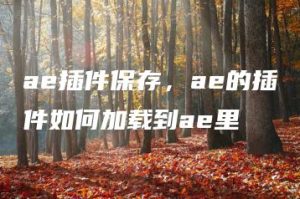 ae插件保存，ae的插件如何加载到ae里 | ae插件合集