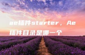 ae插件starter，Ae插件目录是哪一个 | ae插件合集