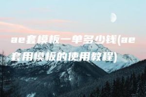 ae套模板一单多少钱(ae套用模板的使用教程) | ae插件合集