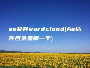 ae插件wordcloud(Ae插件目录是哪一个) | ae插件合集