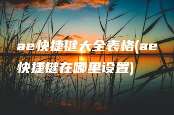 ae快捷键大全表格(ae快捷键在哪里设置) | ae插件合集