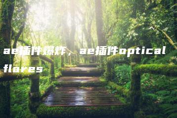 ae插件爆炸，ae插件optical flares | ae插件合集