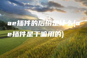 ae插件的后缀是什么(ae插件是干嘛用的) | ae插件合集