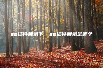 ae插件目录下，ae插件目录是哪个 | ae插件合集