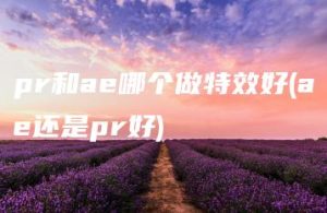 pr和ae哪个做特效好(ae还是pr好) | ae插件合集