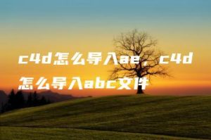 c4d怎么导入ae，c4d怎么导入abc文件 | ae插件合集