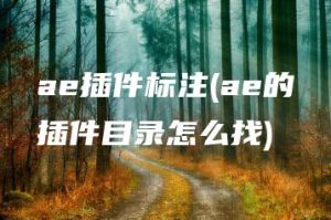 ae插件标注(ae的插件目录怎么找) | ae插件合集