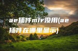 ae插件mir没用(ae插件在哪里显示) | ae插件合集