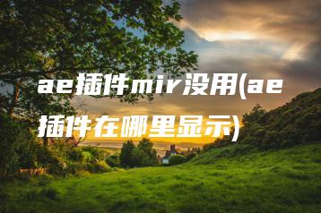 ae插件mir没用(ae插件在哪里显示) | ae插件合集