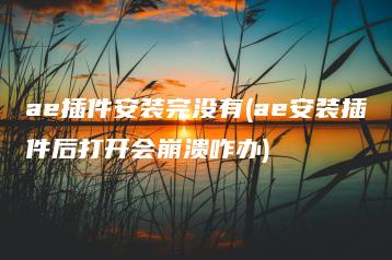 ae插件安装完没有(ae安装插件后打开会崩溃咋办) | ae插件合集