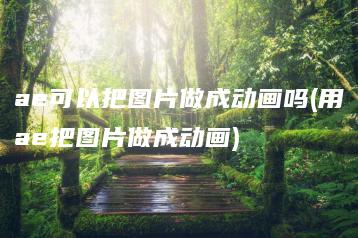 ae可以把图片做成动画吗(用ae把图片做成动画) | ae插件合集