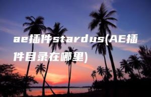 ae插件stardus(AE插件目录在哪里) | ae插件合集