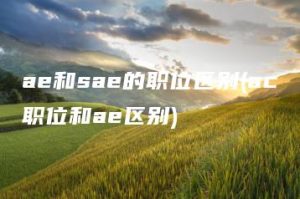 ae和sae的职位区别(ac职位和ae区别) | ae插件合集